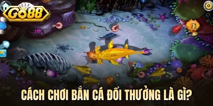 Quy trình bắn cá đổi thưởng đúng luật