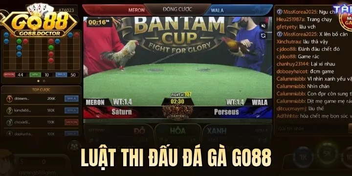 Phổ cập luật thi đấu Đá Gà Go88