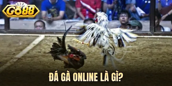 Đá gà online là gì? 