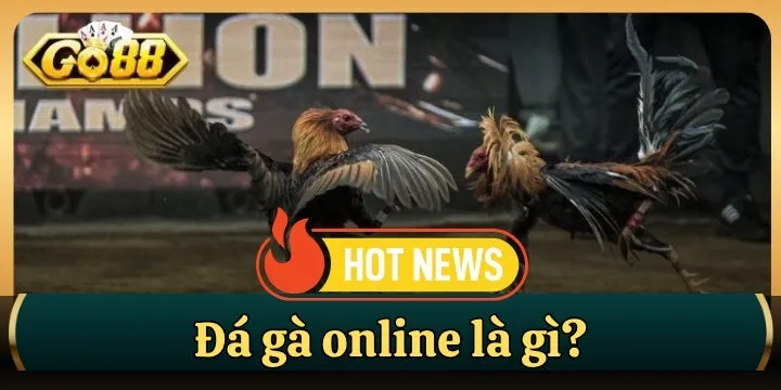 Đá gà online là gì? - Giải đáp nhanh thắc mắc cho tân thủ