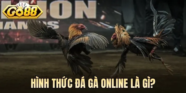 Đá gà online có những hình thức nào? 