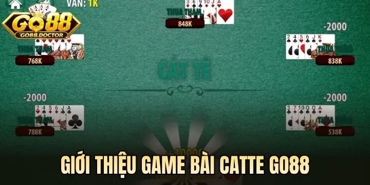 Vài nét về Catte Go88